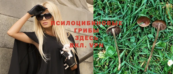 дурь Няндома