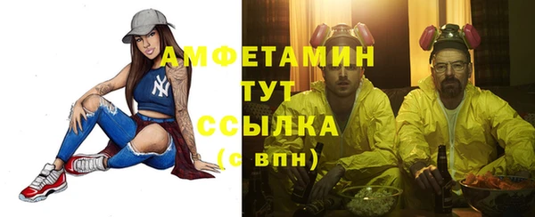 дурь Няндома