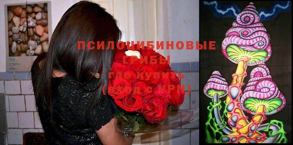 бошки Абинск