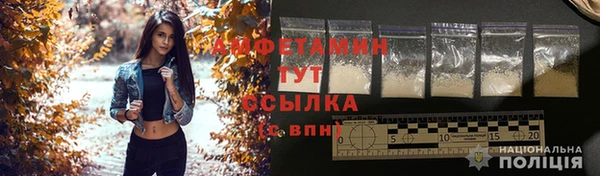 дурь Няндома